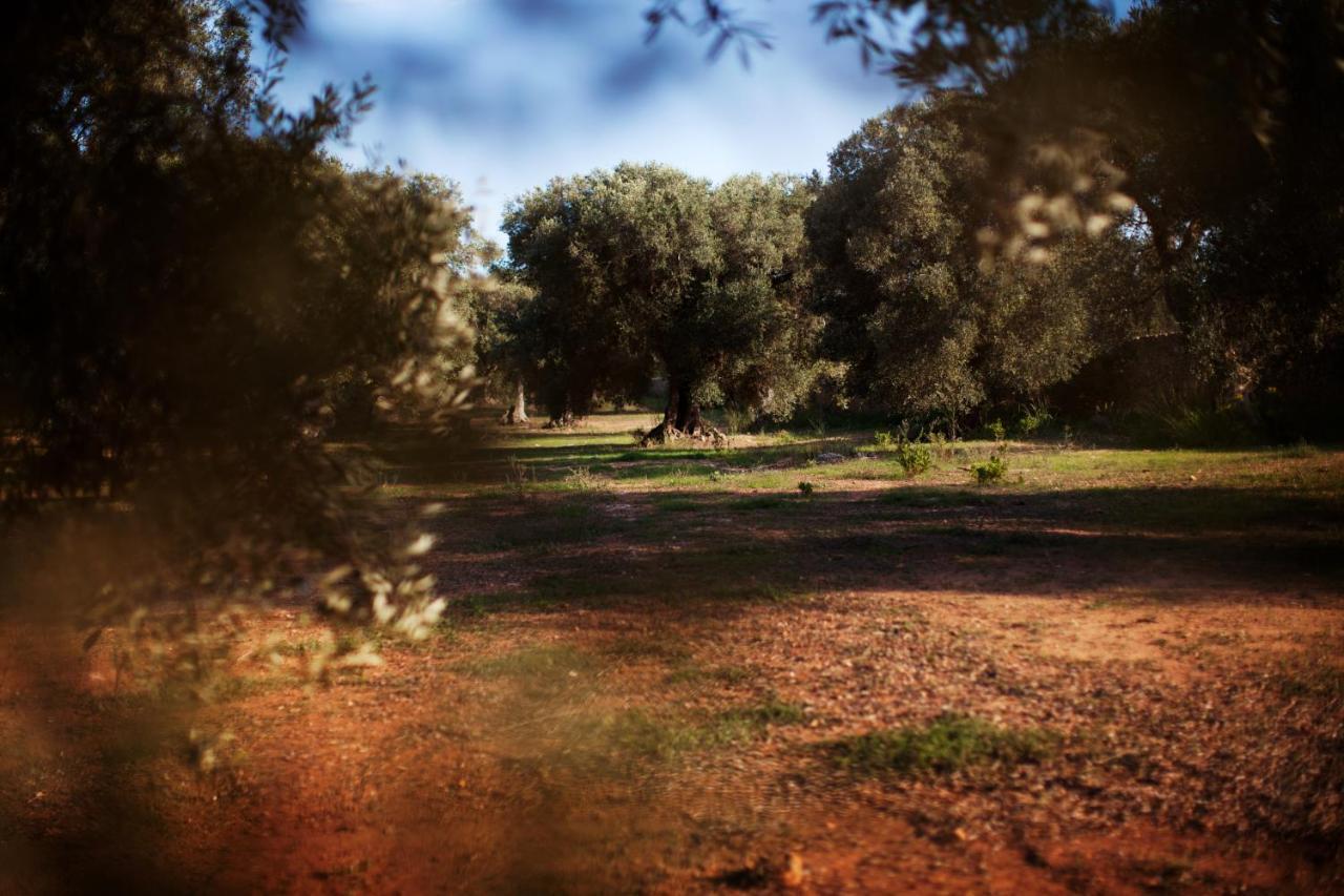 Masseria Borgo Mortella Λέτσε Εξωτερικό φωτογραφία