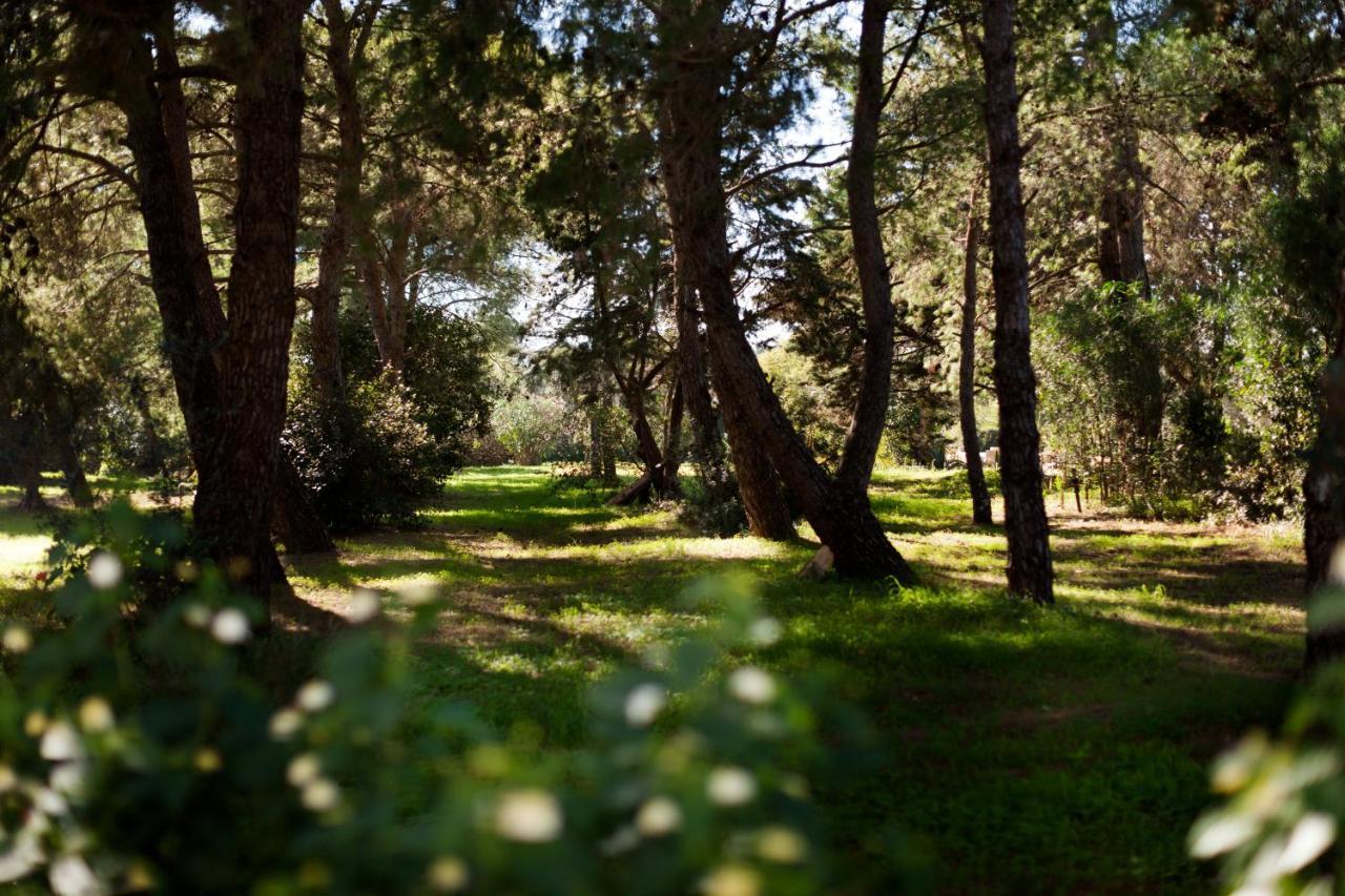 Masseria Borgo Mortella Λέτσε Εξωτερικό φωτογραφία